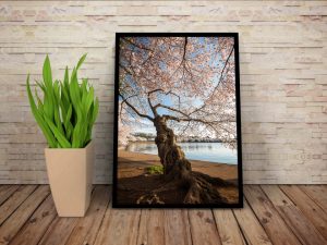 How to prepare your images for print