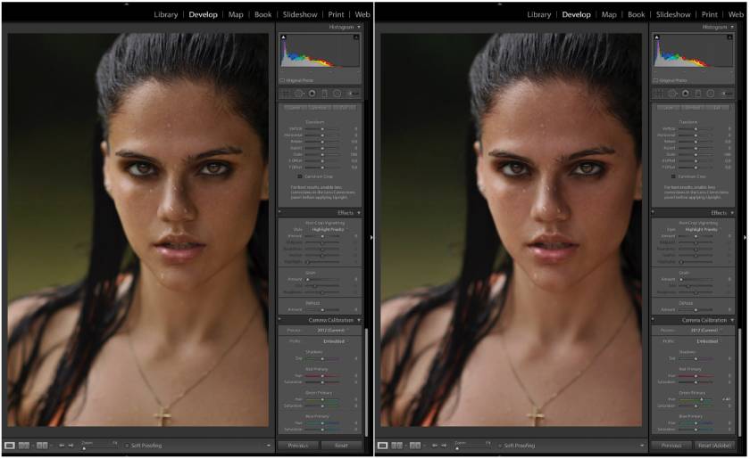 How to Improve Colors Using Camera Calibration Profiles in Lightroom